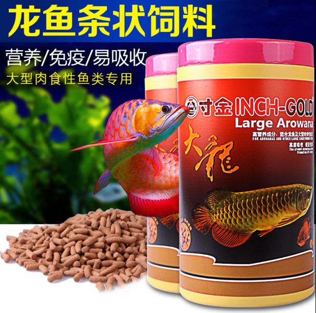 比較好養(yǎng)、好看的魚缸水草（魚缸里能養(yǎng)哪些耐陰植物）