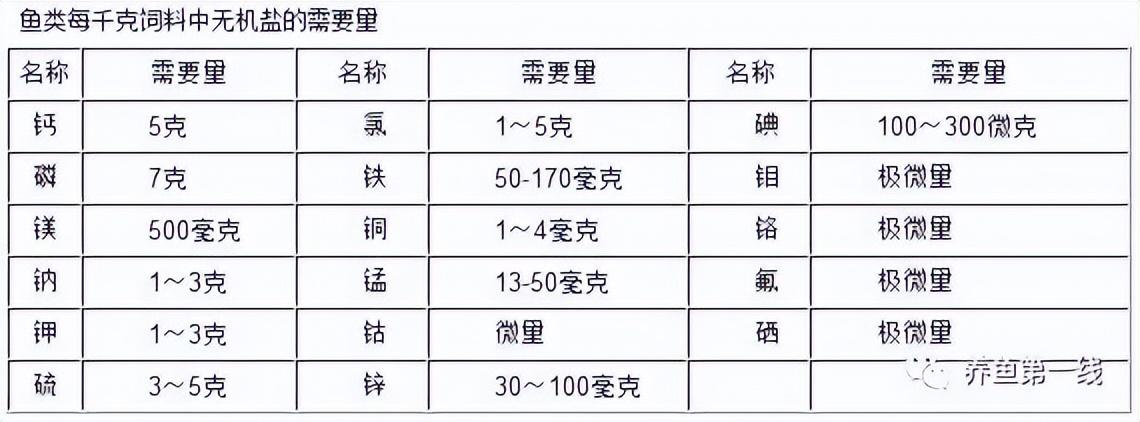 養豬鼻龜的技巧(如何養豬鼻龜)