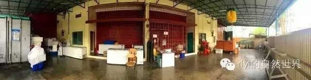 馬來西亞怡保漁場，霹靂州馬來西亞怡保漁場新鮮漁獲會直接供應給店鋪