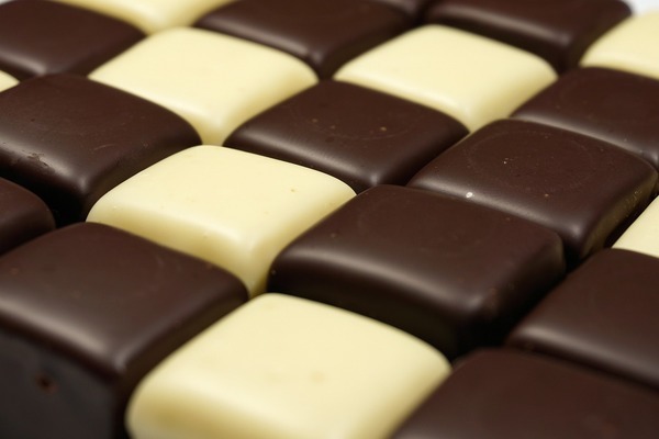 銀龍魚吃魚嗎(銀龍魚吃小魚嗎?)