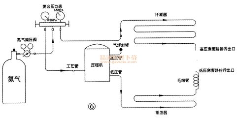 紅龍魚市場價多少一斤