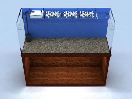 每斤售價2000的淡水“黃金魚”究竟叫啥名字？（一條20厘米過背金龍魚多少錢）