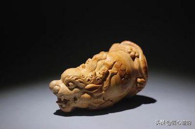 極品過背金龍魚價格（過背金龍魚魚苗價格）