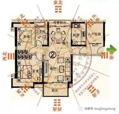 銀龍魚眼睛有白膜圖片(龍魚眼睛有點白膜)