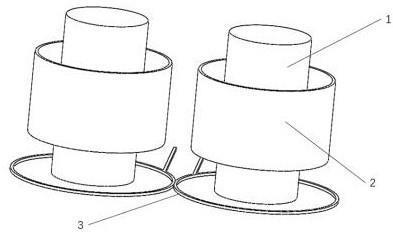 過背金龍魚養多久才上色呢怎么回事啊：過背金龍魚上色時間與影響因素