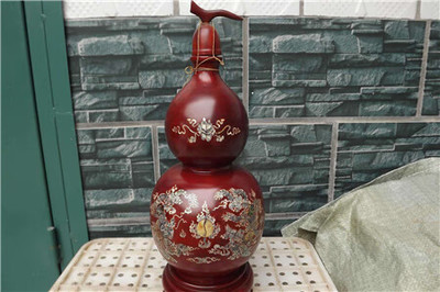 莘縣國旭水族店