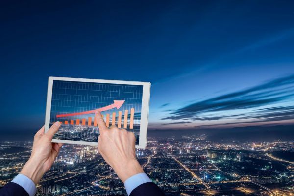 紅龍魚金龍魚混養好不好養：紅龍魚和金龍魚混養的領地劃分技巧紅龍魚金龍魚混養的領地劃分技巧