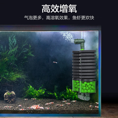 銀龍魚死亡是什么樣(銀龍魚為什么無緣無故的死了)