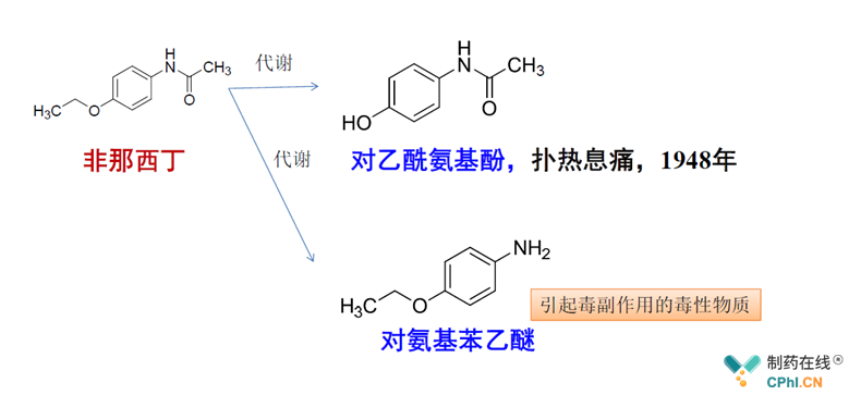 豬鼻龜屬于什么動物類型的(豬鼻龜是野生動物嗎)