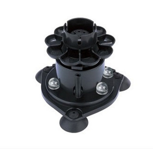 小龍魚的圖片大全（小龍魚的圖片大全大圖）