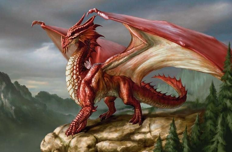 紅龍圖片霸氣，紅龍圖片霸氣：陽光下的4條紅龍,自然光也很透紅,而且更帥了 紅龍圖片霸氣，紅龍圖片霸氣：陽光下的4條紅龍,自然光也很透紅,而且更帥了 龍魚百科 第22張