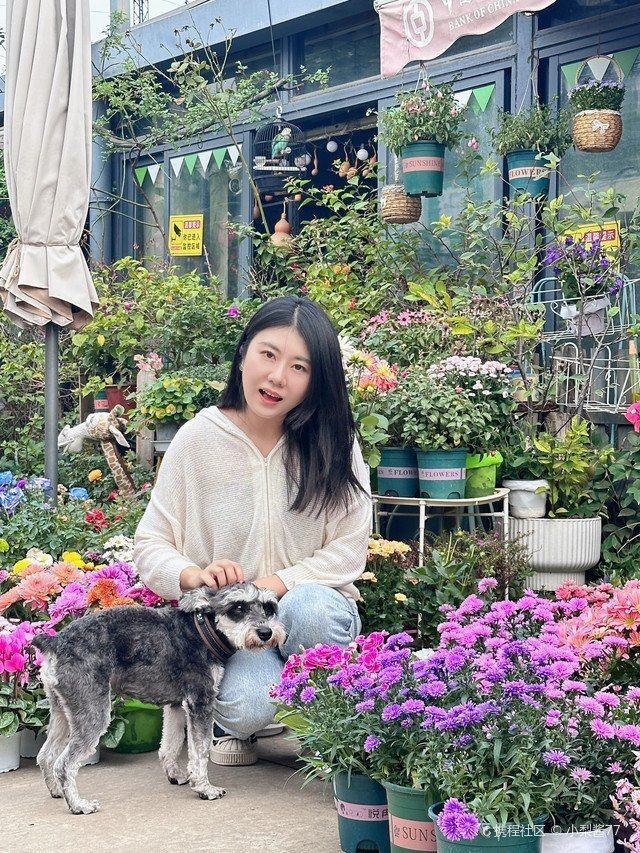 武漢魚缸批發市場，武漢魚缸批發市場分析