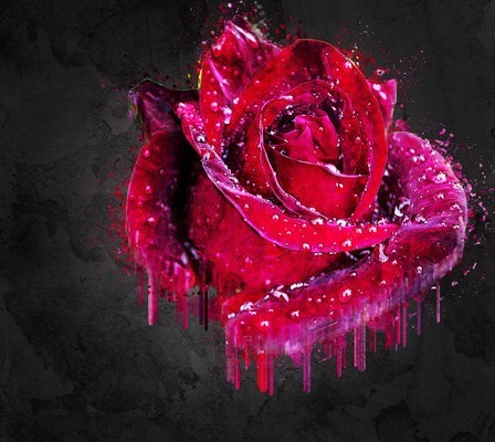 大型魚缸回收廠家直銷價格：大型魚缸回收廠家直銷價格二手魚缸回收廠家直銷價格