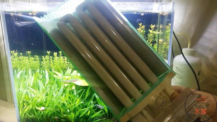 關于過背金龍魚用什么顏色的燈光養(yǎng)比較好的信息