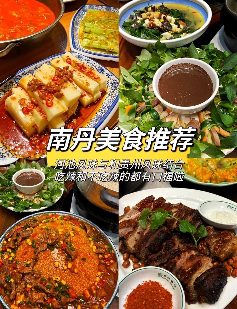南丹龍魚店，南丹地區有沒有龍魚店