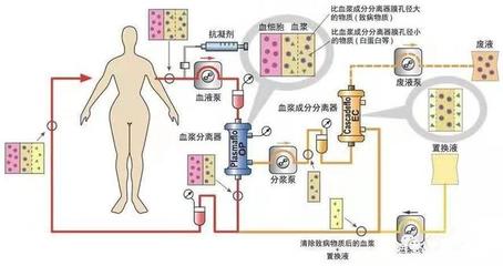 博特水泵調節視頻教程(博特水泵怎么調節)