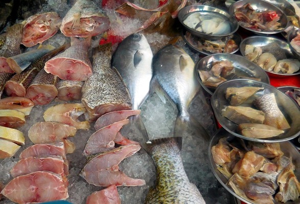 博特魚缸廠家電話地址(博特魚缸哪里生產(chǎn)的)