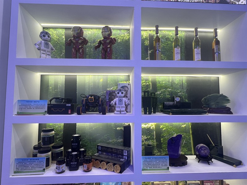 東寧龍魚店，東寧龍魚店有哪些知名品種東寧龍魚店有線上銷售嗎