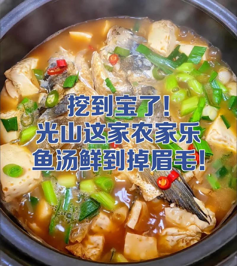 光山龍魚店，光山有哪些特色魚農家樂魚湯鮮到掉眉毛萌爪涂涂