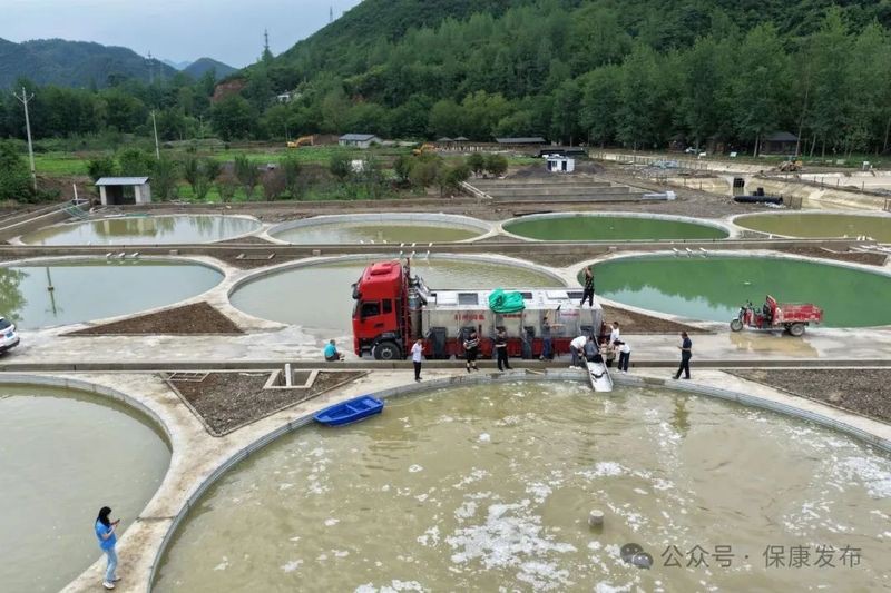 保康龍魚店，保康縣有賣龍魚的嗎