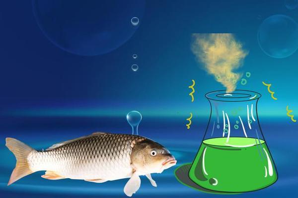 紅龍魚怎么喂長得快：如何促進(jìn)紅龍魚的健康成長