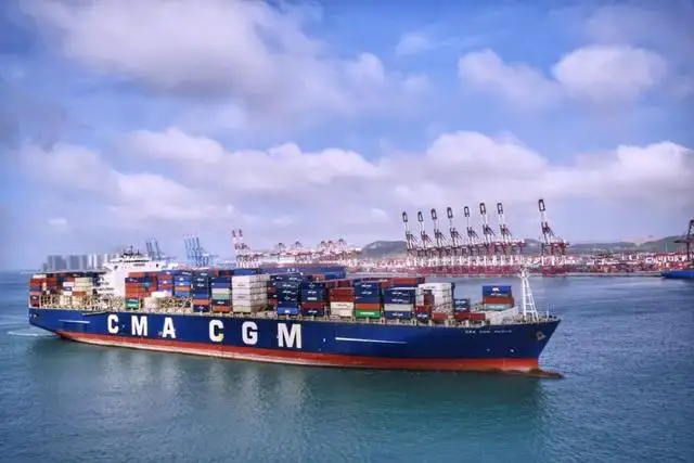 過背金龍魚多大珠鱗全亮（金龍魚怎么看珠鱗）