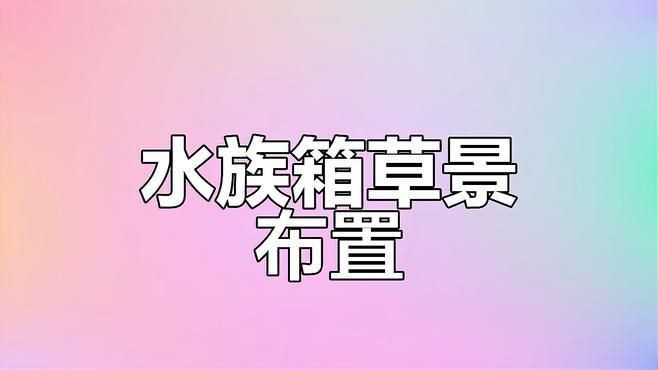 水族箱布置創意方案，《水族箱布置創意方案》本方案聚焦于水族箱的創意布置