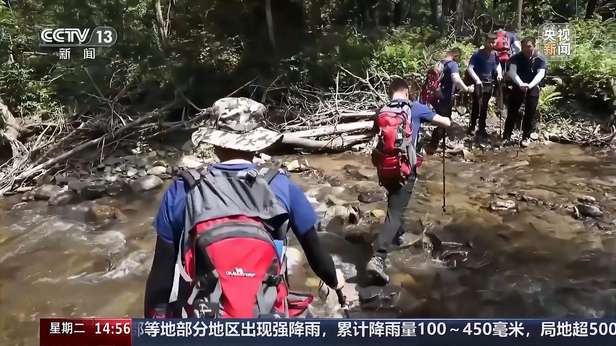 世界上老虎的數(shù)量有多少只，全球老虎數(shù)量最新統(tǒng)計