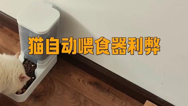 貓自動喂食器利弊，《貓自動喂食器利弊》