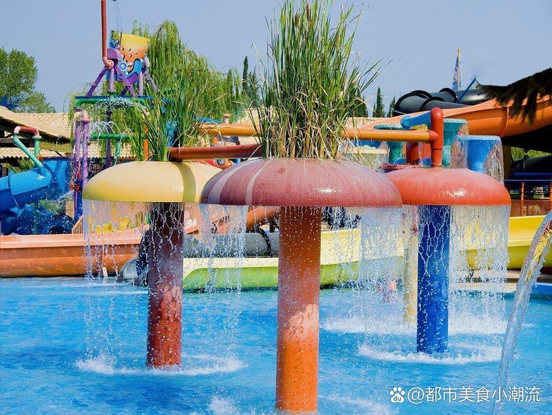 寧國水族店，寧國水族店哪家口碑最好