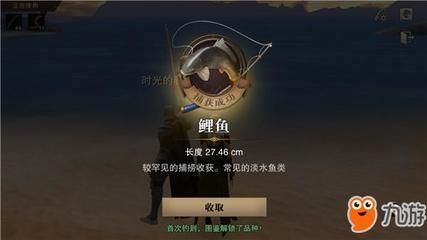 龍魚需要24小時打氧嗎為什么呢vs祥龍魚場：龍魚是否需要24小時打氧