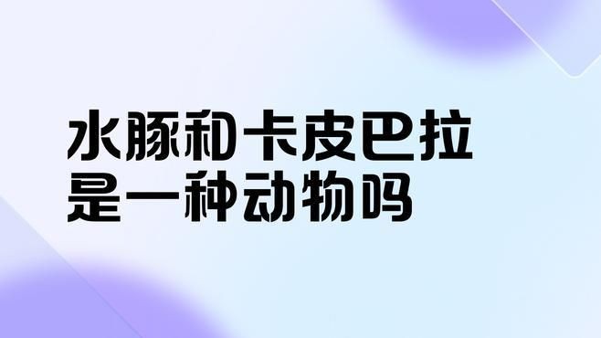 卡皮巴拉和水豚的區別在哪，卡皮巴拉與水豚有什么區別？