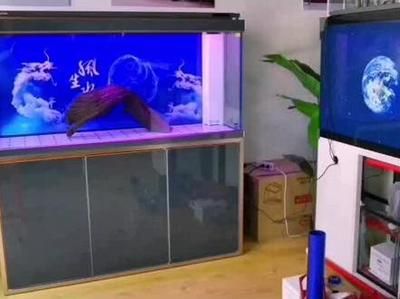 魚缸安裝完整視頻教程：魚缸安裝完整視頻教程詳情：魚缸加溫棒使用注意事項