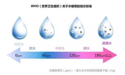過背金龍魚水溫百科，過背金龍魚水溫多少度最好