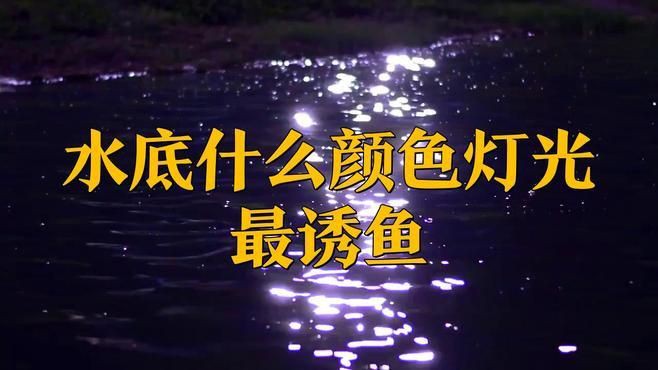 晚上照水下魚用黃燈還是白燈，夜晚釣魚燈光技巧,四種顏色誘魚效果大揭秘 晚上照水下魚用黃燈還是白燈，夜晚釣魚燈光技巧,四種顏色誘魚效果大揭秘 龍魚百科 第2張