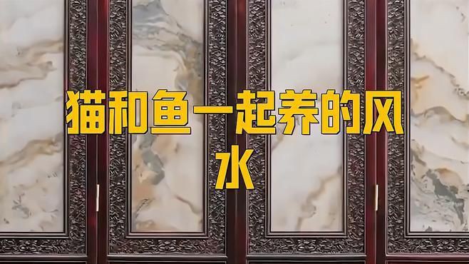 貓魚(yú)共養(yǎng)的最佳布局，《貓魚(yú)共養(yǎng)的最佳布局》