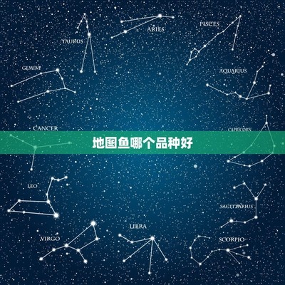 慈溪市博特曼液化氣減壓閥(慈溪液化氣減壓閥廠家)
