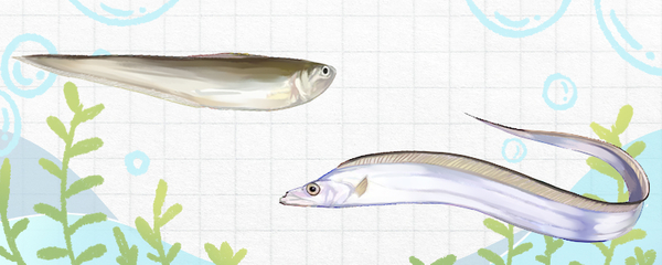 森森壁掛過濾器安裝方法：森森壁掛過濾器的安裝方法