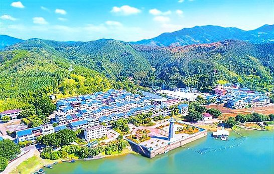 尤溪水族店，三明尤溪縣吉美多水族館怎么樣愛企查尤溪縣水木森林水族館怎么樣