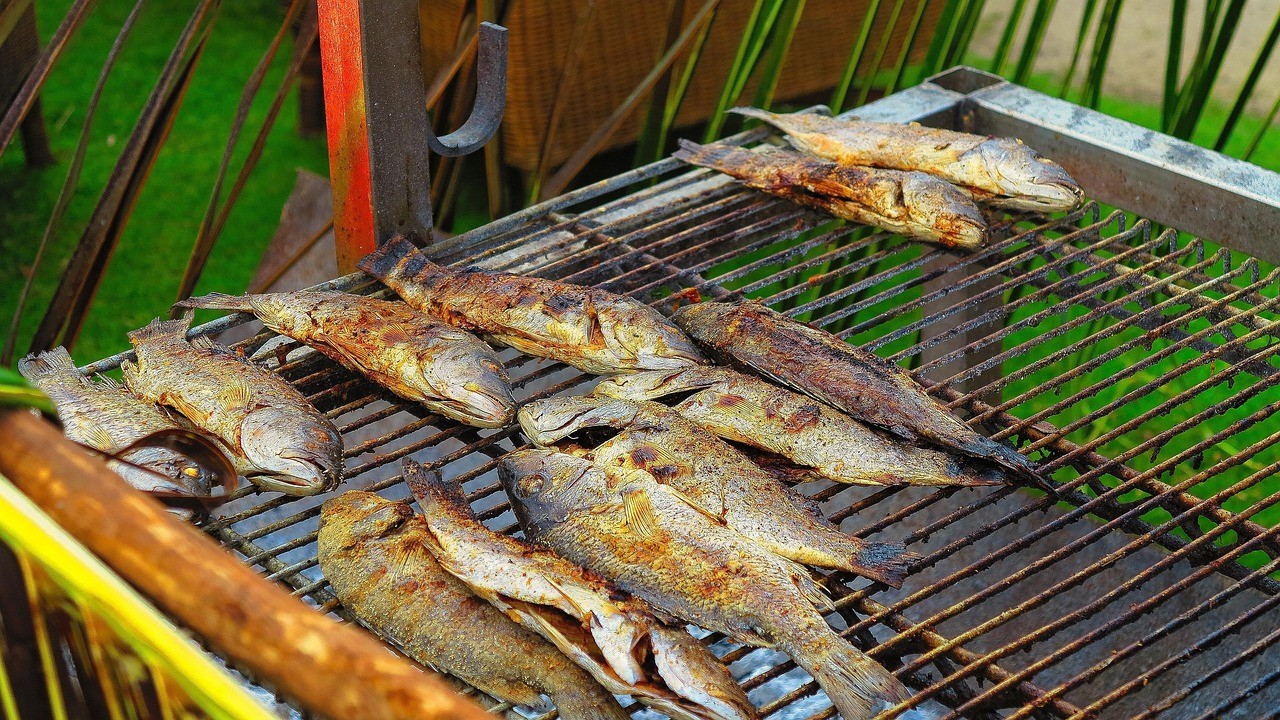 金龍魚多錢一條 金龍魚一般多少錢一條?
