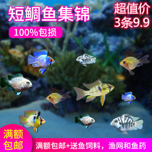 森森魚缸官網(wǎng)