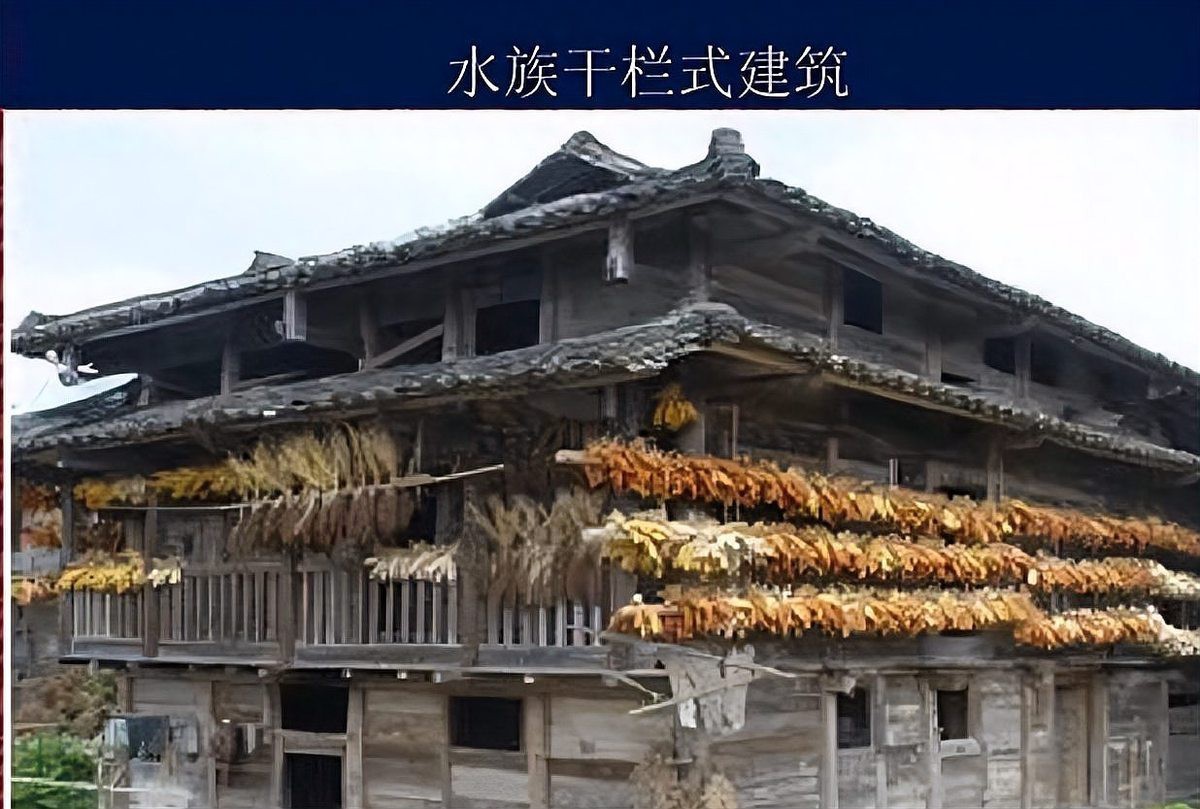詳細閱讀:彝良水族店,彝良縣有水族風情街的具體位置 彝良水族店,彝良縣有水族風情街的具體位置