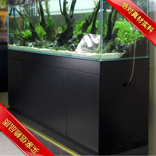虎魚的飼養技術和飼養技巧:虎魚的飼養技巧 虎魚百科 第2張 虎魚的飼養技術和飼養技巧:虎魚的飼養技巧 虎魚的飼養技術和飼養技巧:虎魚的飼養技巧 虎魚百科 第2張