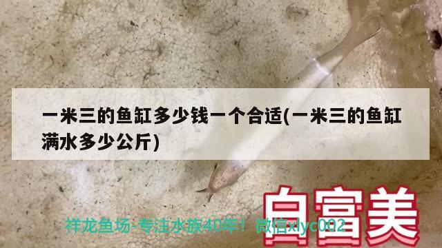 一米三的魚缸多少錢一個合適(一米三的魚缸滿水多少公斤)