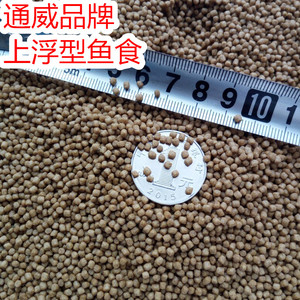 虎魚多久喂一次食物合適：虎魚多久喂一次食物比較合適