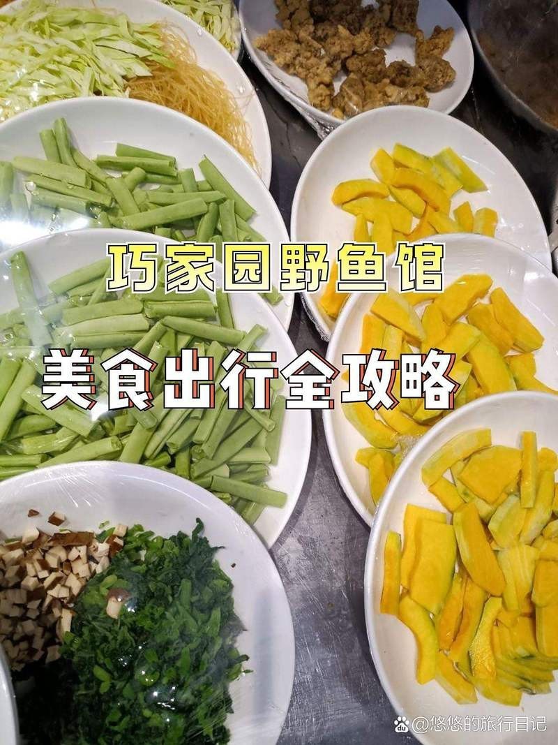 巧家龍魚店，巧家園野魚館