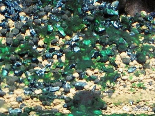 森森潛水泵怎么拆開清理：森森潛水泵怎么拆開和清理森森潛水泵的詳細步驟 森森潛水泵怎么拆開清理：森森潛水泵怎么拆開和清理森森潛水泵的詳細步驟 森森魚缸 第1張