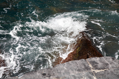 龍魚造型vs祥龍魚場：龍魚造型與祥龍魚場