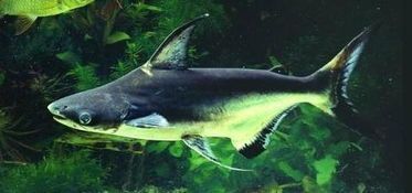 博特新材料泰州有限公司福州分公司電話多少(泰興博特新材料怎么樣)