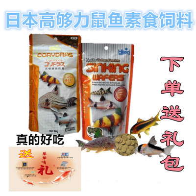 虎魚龍魚混養(yǎng)一定會打架嗎(龍魚虎魚混養(yǎng)打架怎么辦)